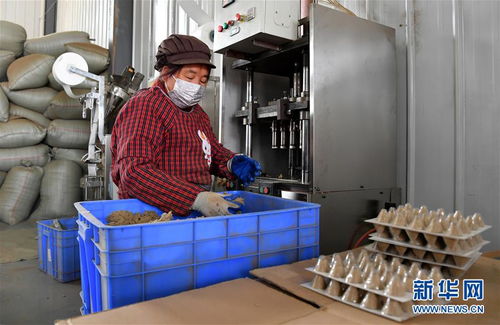 社区工厂有序复工 助力百姓脱贫增收