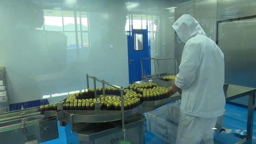 县政协常委会视察我县中医药健康食品产业发展情况