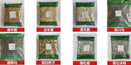 天源医药集团