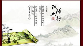 一眼就能看懂的中医培训 最简单中医入门学习心