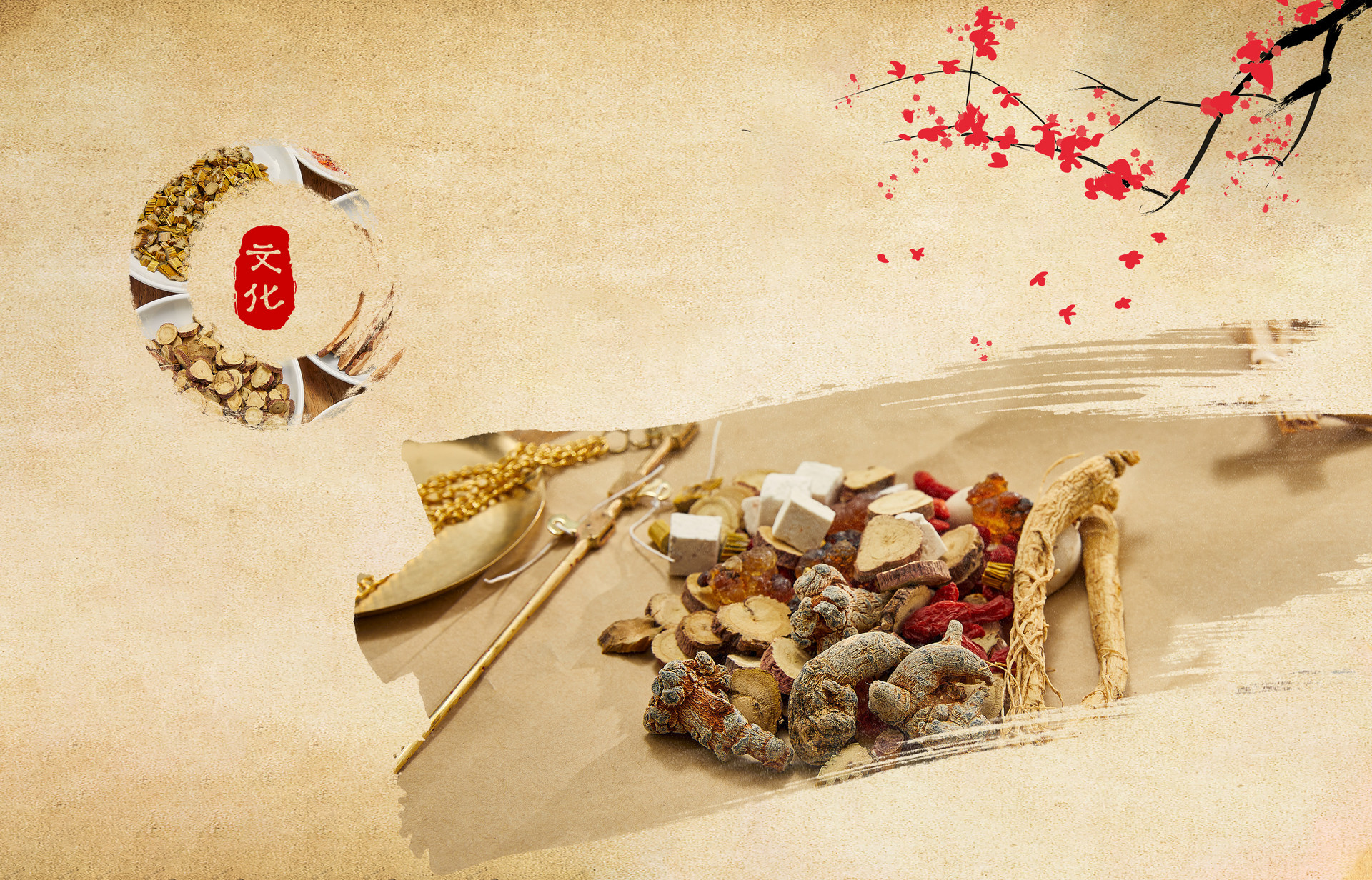 大力实施"四大工程" 崂山健全中医药发展体制机制 凤凰网青岛_凤凰网