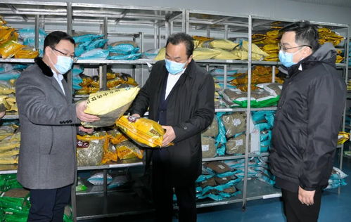 节后上班第一天县领导调研重点企业,释放重要信号