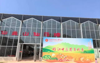 追随镜头,赶一场江西的 丰收大集