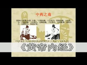 泰安诸中医养生食品美女养眼养颜必备