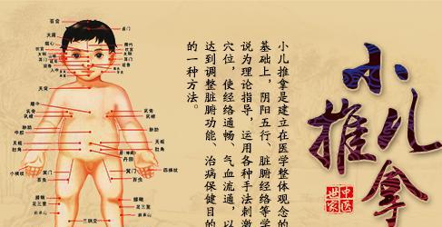 小儿面诊识病大全 中医理论与实用技巧