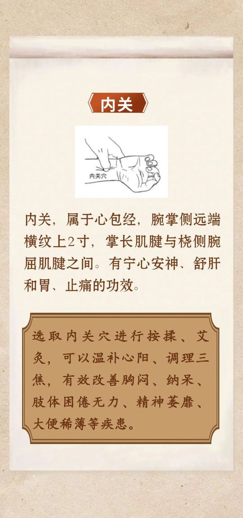 夏季养阳正当时 中医解析暑热时节养阳之道