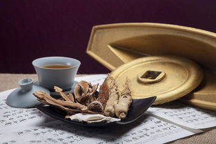 泥灸加工OEM厂家如何在中医养生领域发挥引领作用