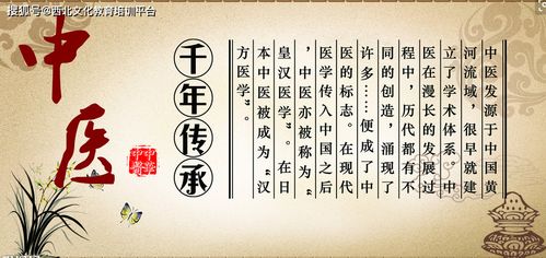 中医文化传承再显迫切 守护东方智慧的当代使命